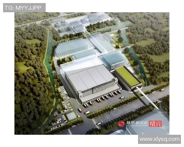 足球陶鹏飞的崛起之路与中国足球未来的希望探讨